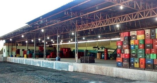 JK Comercio de Frutas. Qualidade sempre presente!